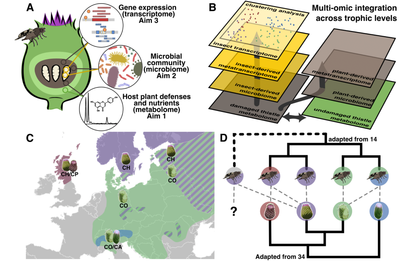 Multitrophic multi-omics workflow